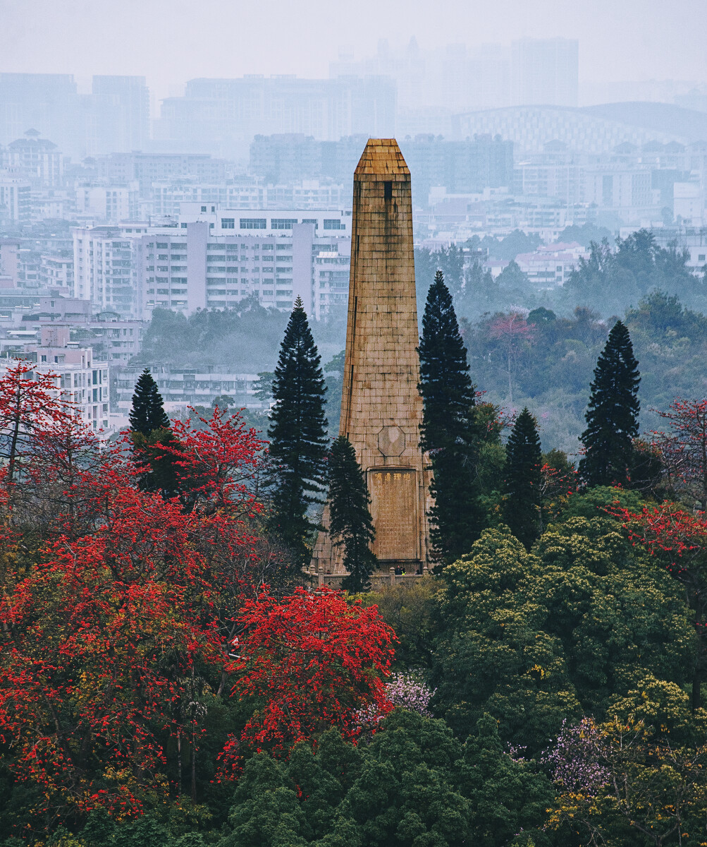 2017.6.14英雄花與中山紀念碑