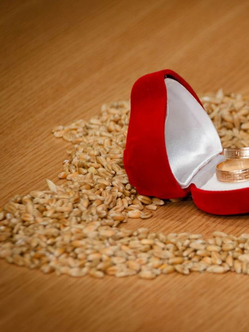 中山產品圖片拍攝公司推薦選擇指南